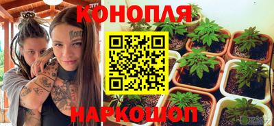гидра Гай