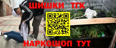 гашик Гатчина