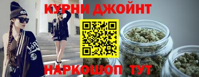 гидра Гай