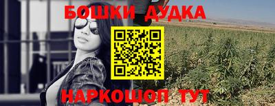 гашик Гатчина